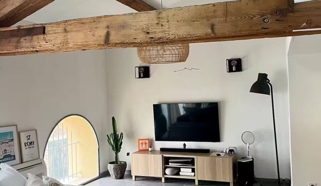 Magnificent Loft near town center
