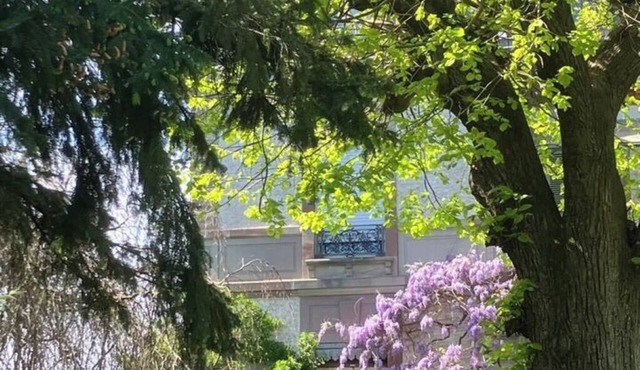 Magnificent manor house in Alsace near Strasbourg