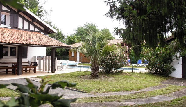 Magnificent, recently renovated villa with private pool and wooded grounds.