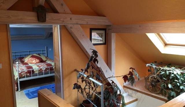 Magnificent relaxing gîte - Close to the Wine Route