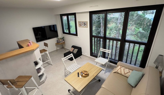 Magnificent studio with swimming pool