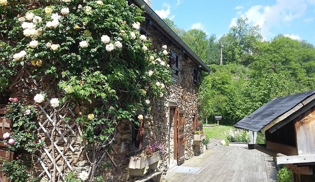 MAGNIFICENT SHEEPFOLD *