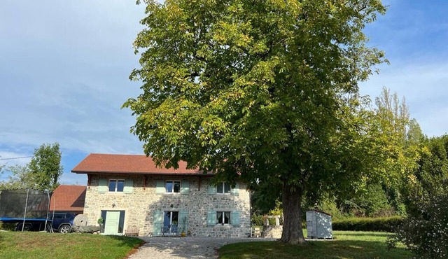 Magnificent stone house with 5 bedrooms - Near Geneva