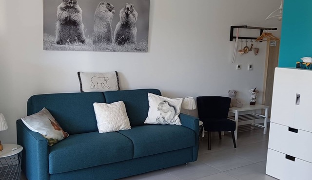 Magnificent studio with terrace