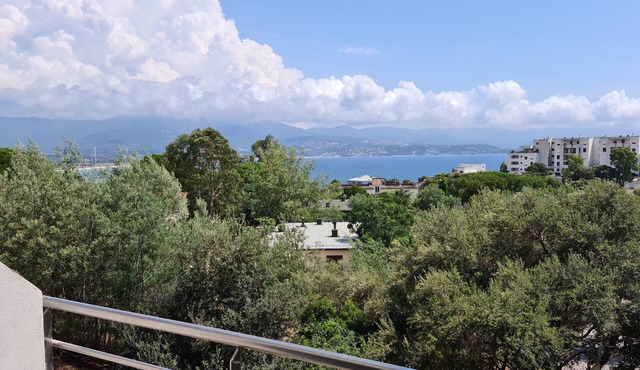 Magnificent T2 parahotelier with 23m2 south-facing terrace and sea view