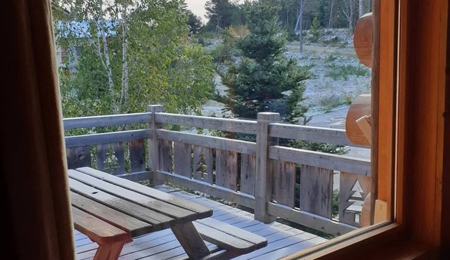Magnificent ungauged log chalet with 3 bedrooms and mezzanine
