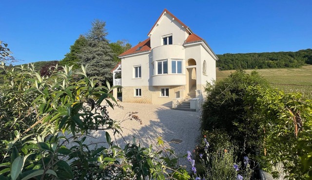 MAGNIFICENT VIEW HOUSE PARADISIAC IN THE MIDDLE OF VINES OF BOURGOGNE