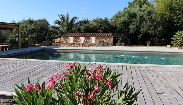 Magnificent Villa in lush greenery with Pool