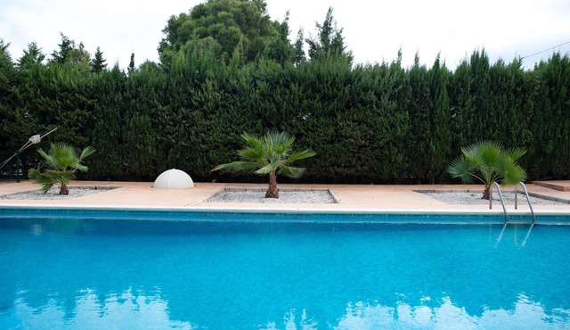 Magnificent villa in Novelda Alicante - VT-461834-A