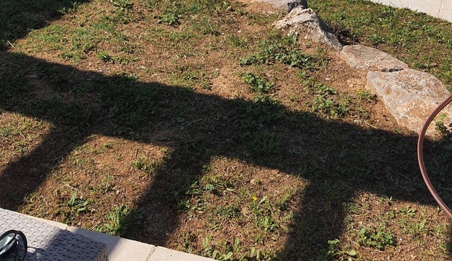 Magnificent villa located in the middle of olive trees, calm and serenity will be at the meeting