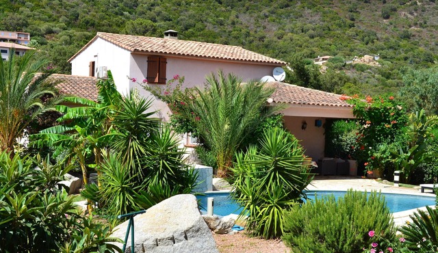 Magnificent villa with sea view