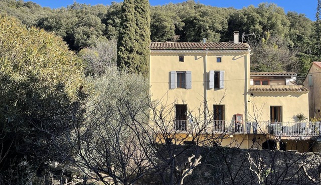 Magnificent village house/private pool in the Haut Languedoc nature park
