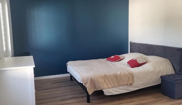 Magnifique appartement le marronnier