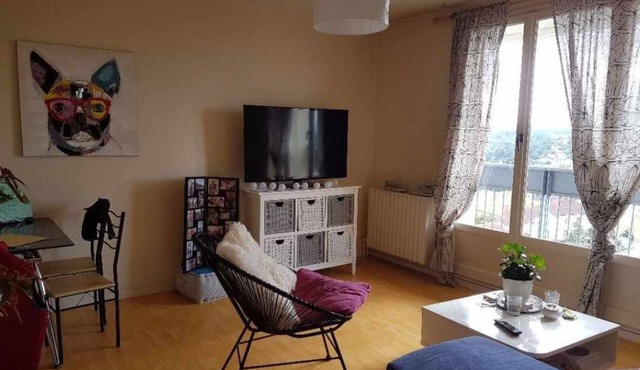 Magnifique Appartement Limoges