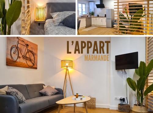 Magnifique appartement rénové plein centre-ville