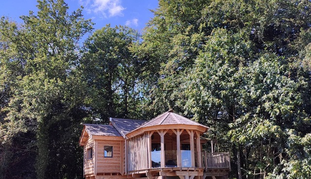 Magnifique Cabane Perchée Avec Jacuzzi Privatif