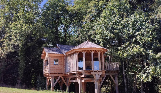 Magnifique Cabane Perchée Avec Jacuzzi Privatif
