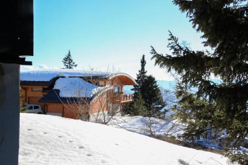 Magnifique chalet au pied des pistes