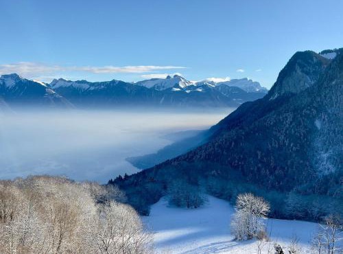 Magnifique Chalet Avec Vue Panoramique sur le Lac Léman