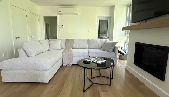 Magnifique Condo en Montagne