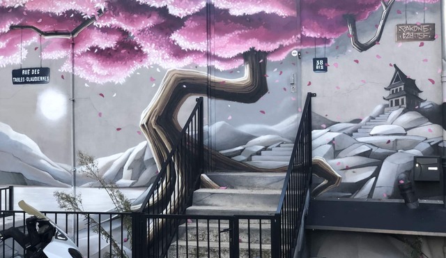 Magnifique Duplex Rénové Avec une vue Exceptionnelle sur Lyon