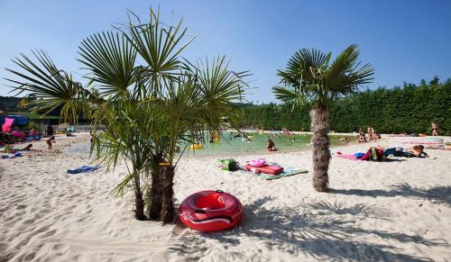 Magnifique Mobilhome au camping le Chateau de Galaure