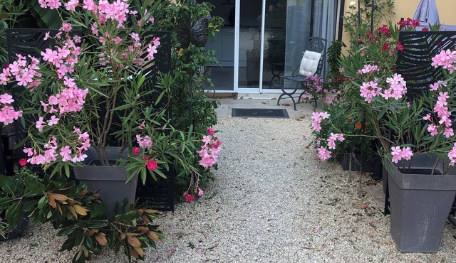 Magnifique Studio Situé au Pied du Vercors À Proximité de Commerces , Parking