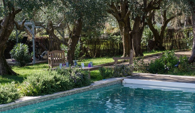 Magnifique Bastide au Milieu D'une Oliveraie et Jardin Méditerranéen