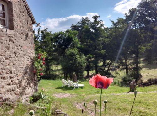 Magnifique Moulin au bord d'une riviere, calme absolu, piano