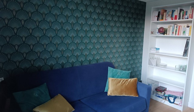 Magnifique Studio Ensoleillé et Bien Aménagé