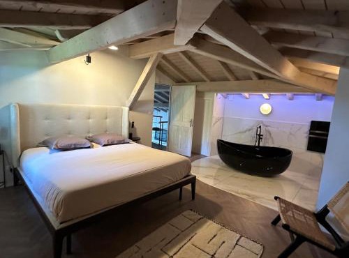 Magnifique villa tout confort à 20m de Toulouse