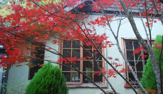 Magnolia - 2 Perrins Creek Rd Olinda