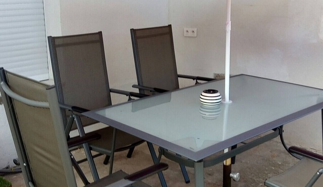 Magnolia Alsace Bas Rhin