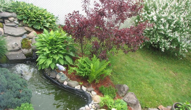 Magnolia B&B