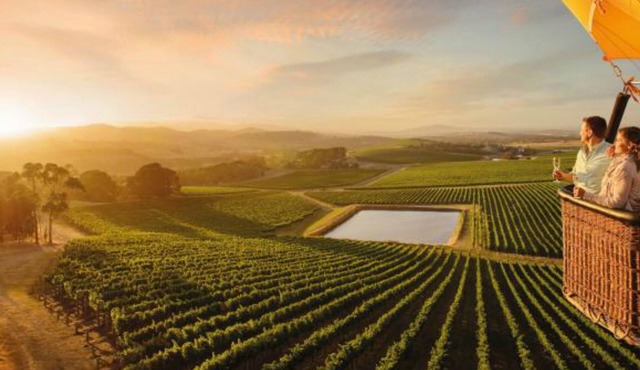 Magnolia cottage Healesville