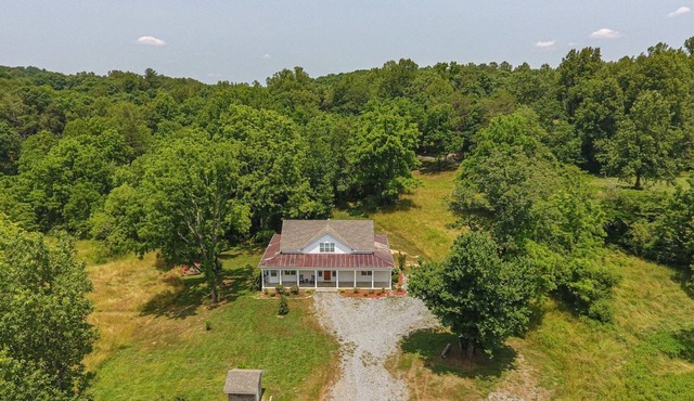 Magnolia In The Mountains