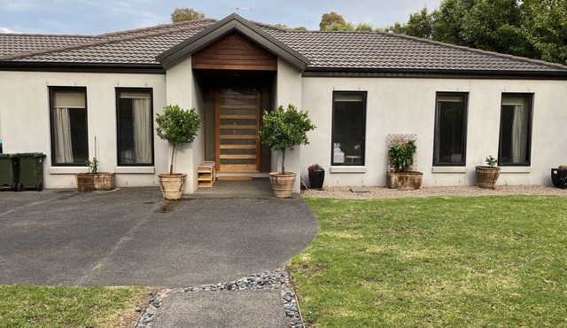 Magnolia Magic on Martha's Mountain