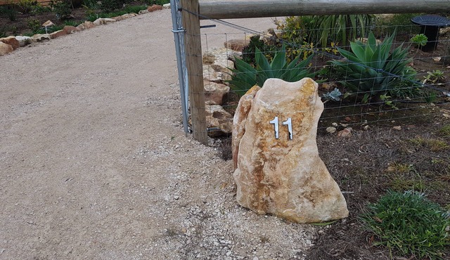 Magnolias at Clayton Bay on the River Murray