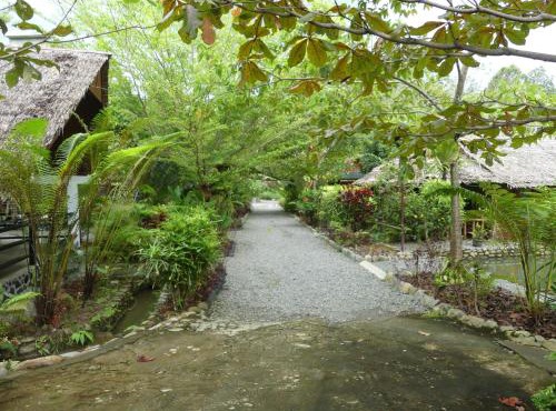 Magpie homestay & jungle trekking especially for guest trekking with us