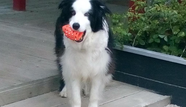 Mahinapua Retreat B&B