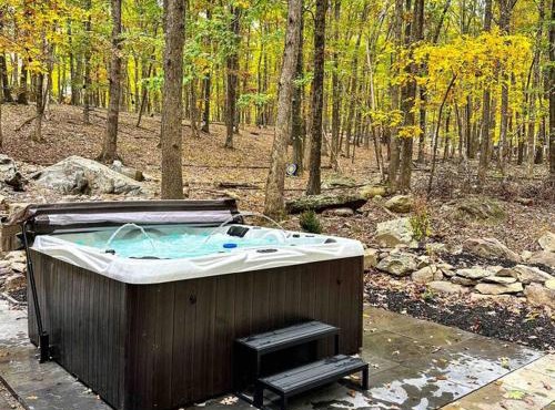 Mahogany Sun Hot Tub Theater Room Fire Pit