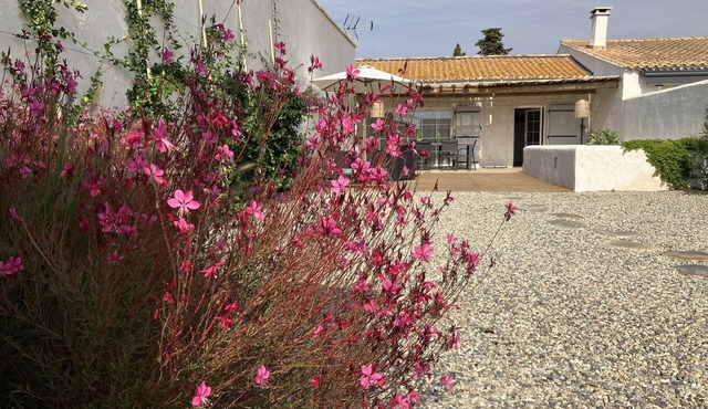 Maison en Camargue à 5 mn des Saintes Maries de la Mer Avec Bassin D'agrément