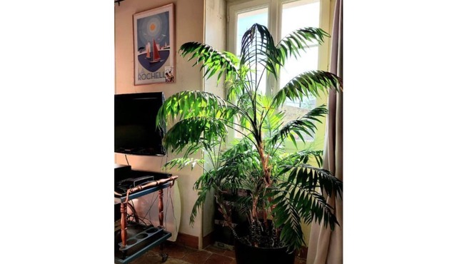 Maison à Proximité Center Parcs