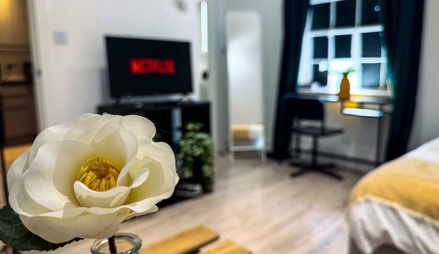 Maidstone-TownCenter-WiFi-2BR-Parking-CityViews