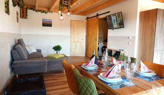 Main barrier-free vacation in the vineyard in Kitzingen