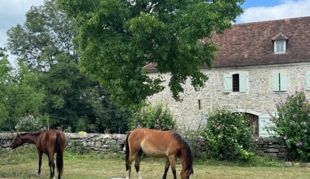 Maison Hourquebie-Charming house entirely renovated 5 min from the river