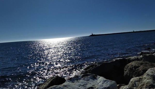 Maison en Bois Avec Piscine /sud de la France