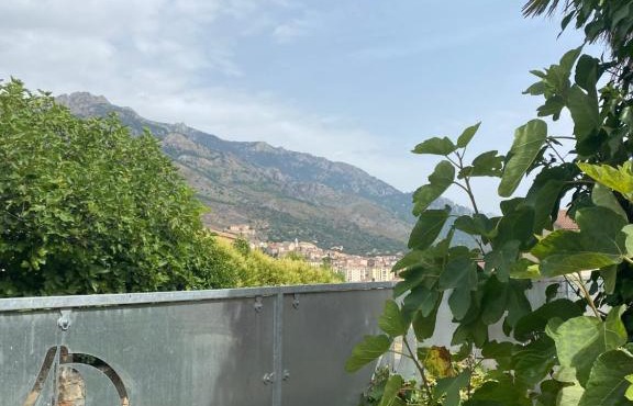 Maison à Corte (Centre Corse) avec piscine et jardin
