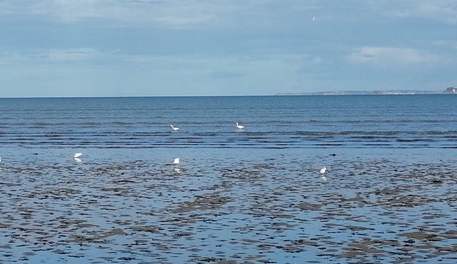 Maison à la Mer, "Le Petit Léjon", Idéale Familles ou Amis