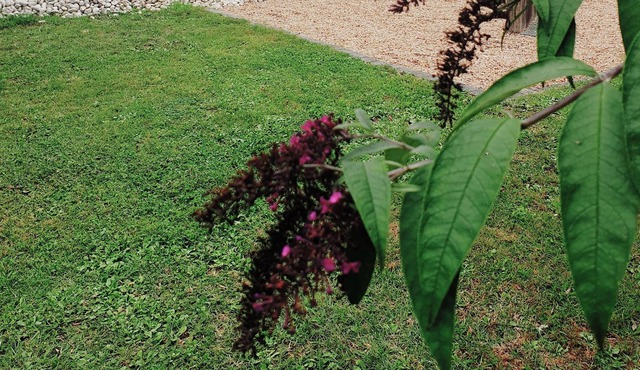 Maison à la Campagne